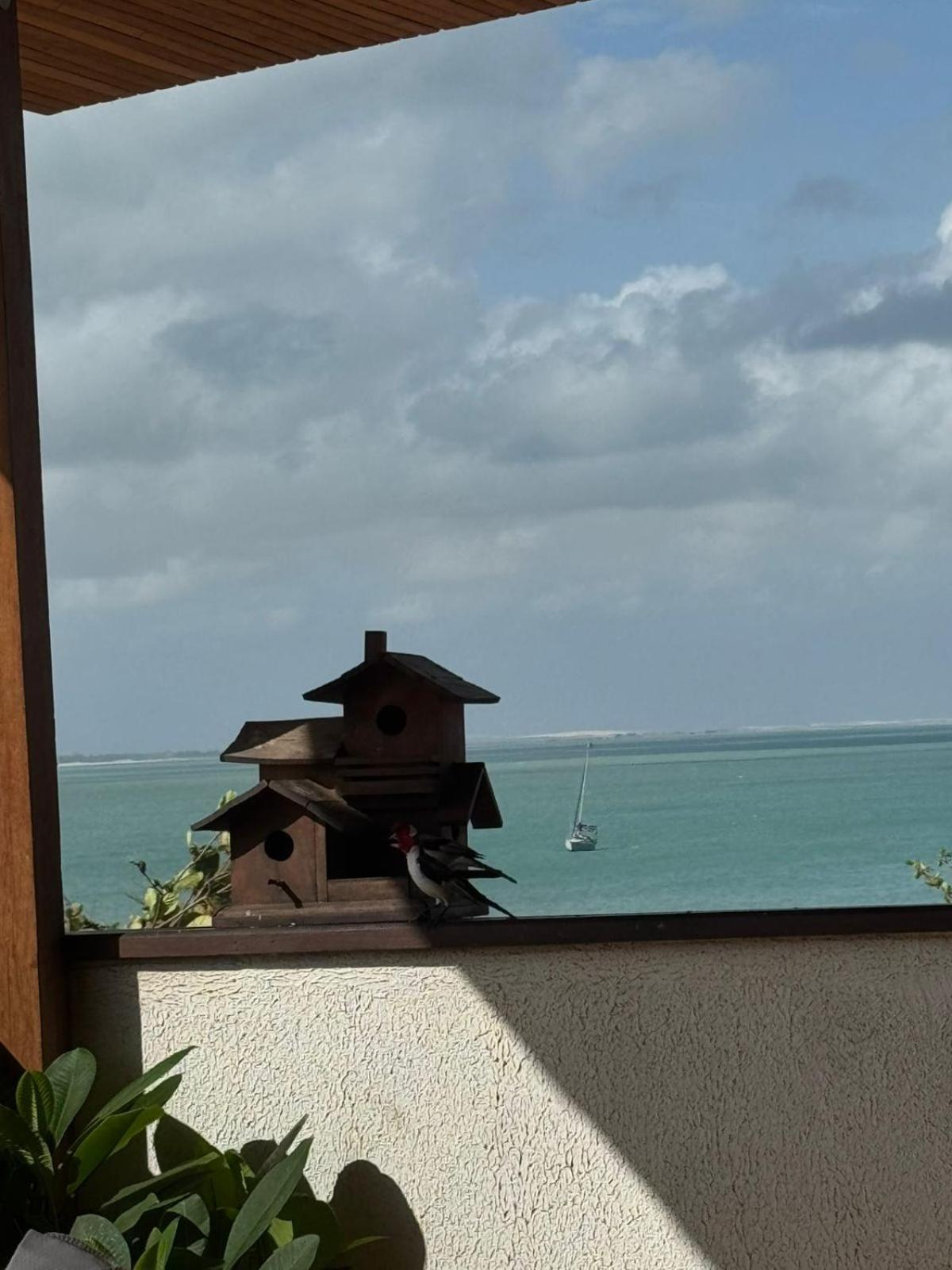 Pousada Amazing Jeri Jijoca de Jericoacoara Exterior photo